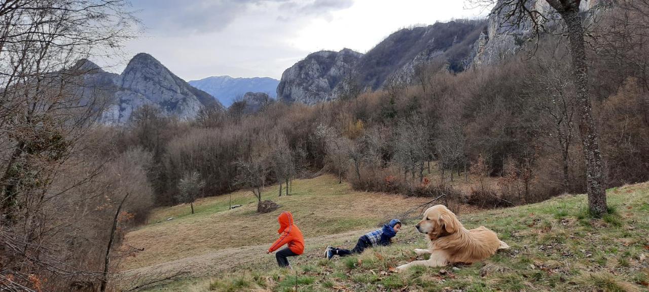 Golemi Kamik Pirot Vlasi Exteriör bild
